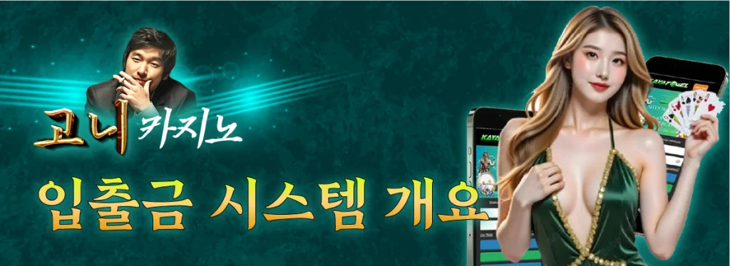 입출금 시스템 개요 안내 이미지